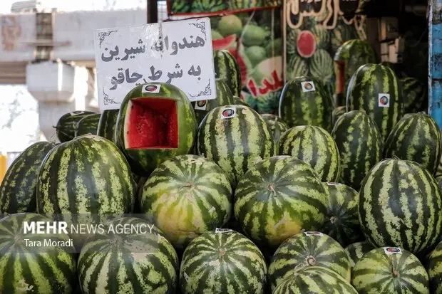 بازار شب یلدا در گیلان زیر ذره‌بین ناظران؛ با سودجویان برخورد می شود
