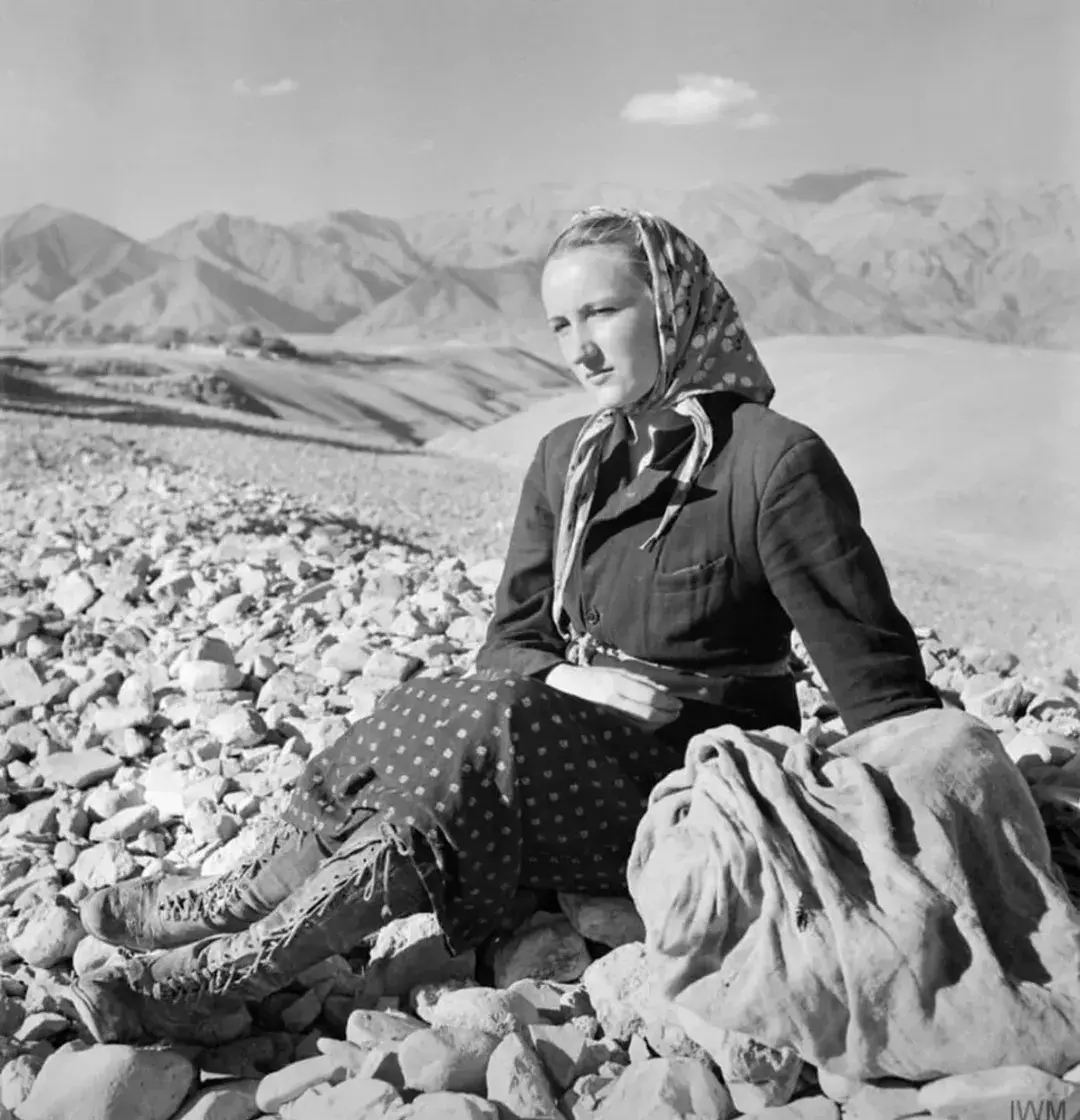 تاریخ