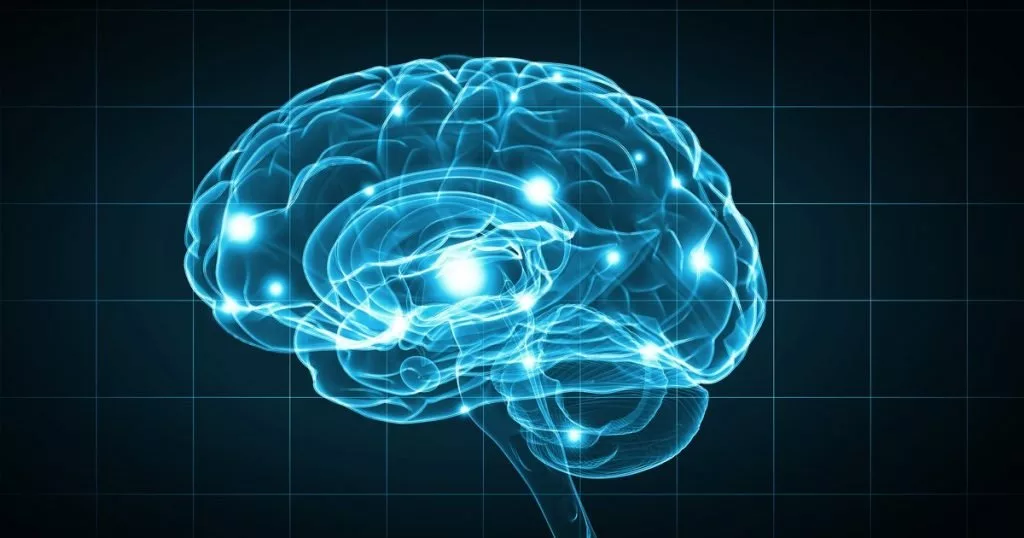 human-brain-development-five-eras-adulthood-starts-30s-۲-1024x538.jpg