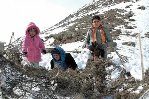 الهام چرخنده