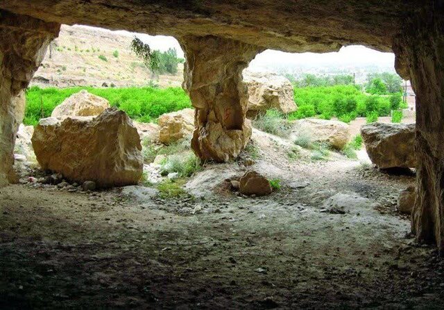 کشف ردپای «نئاندرتال‌ها» در قلب جنگل‌های هیرکانی