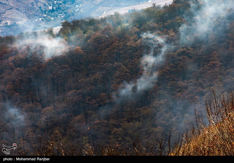 جنگل , اخبار استان گلستان , آتش‌سوزی , اخبار گرگان , نظام مسائل استان گلستان , 