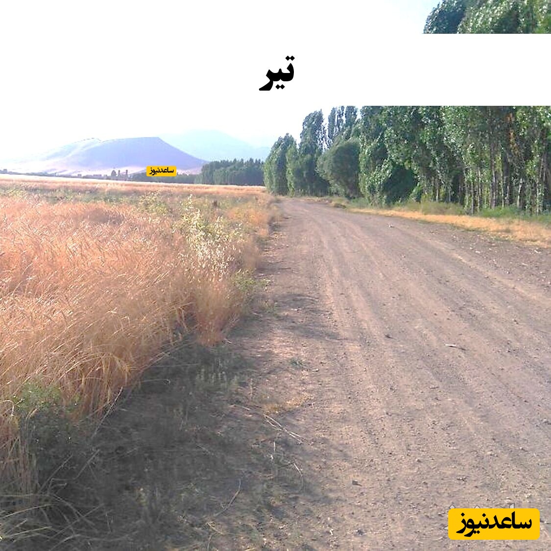 تیر