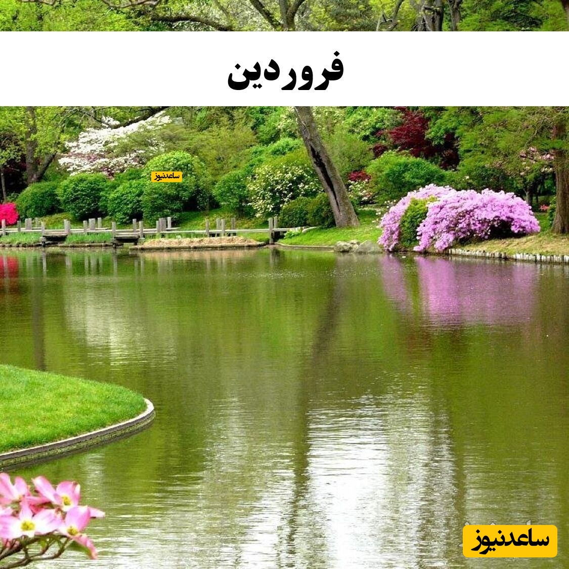 فروردین