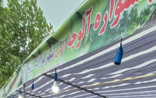 نگاهی به پتانسیل‌های گردشگری خوراک در صومعه‌سرا