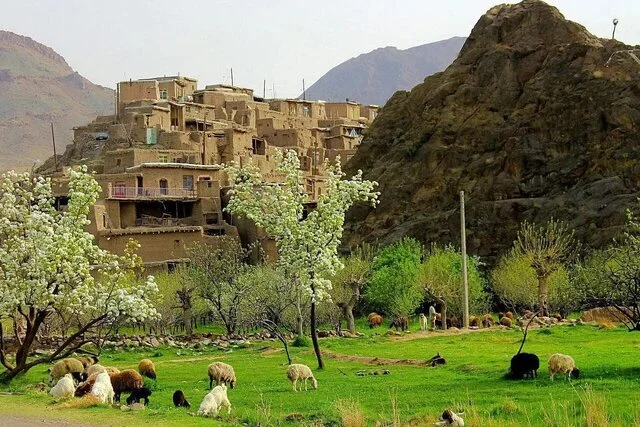 فرماندار کوهسرخ: کشاورزی سنتی، منجر به هدر رفت شدید آب شده است