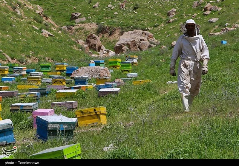 اخبار استان مازندران , کشاورزی , 