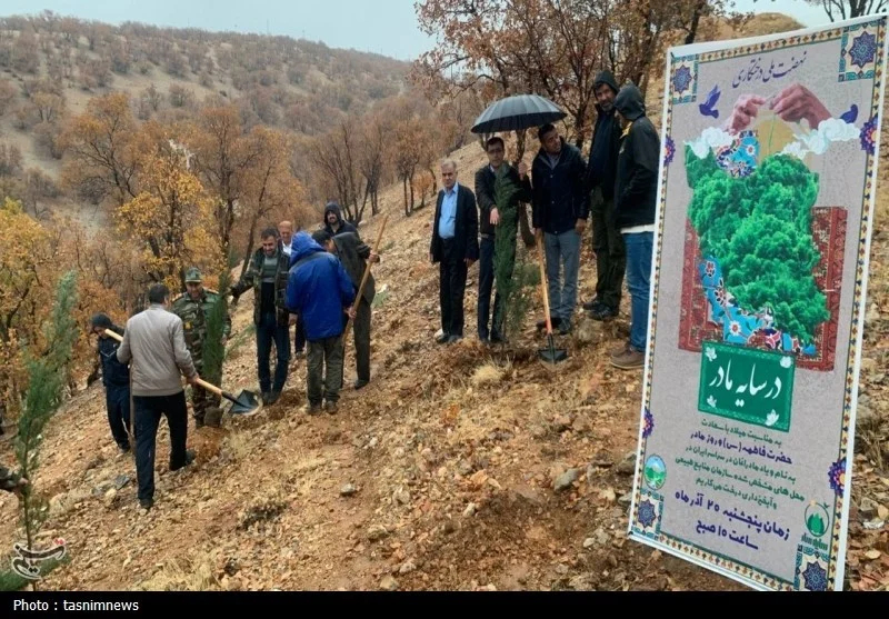 اخبار استان کهگیلویه و بویراحمد , سازمان منابع طبیعی , 