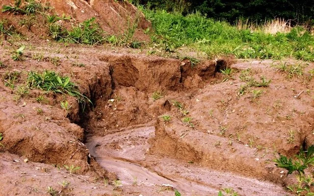 بحران فرسایش خاک؛ تهدیدی جدی برای آینده کشاورزی