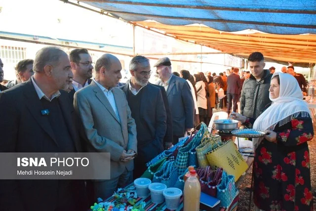 جشنواره شکرانه برداشت کیوی در تالش؛ نمایش توان تولید و صادرات کشاورزی گیلان