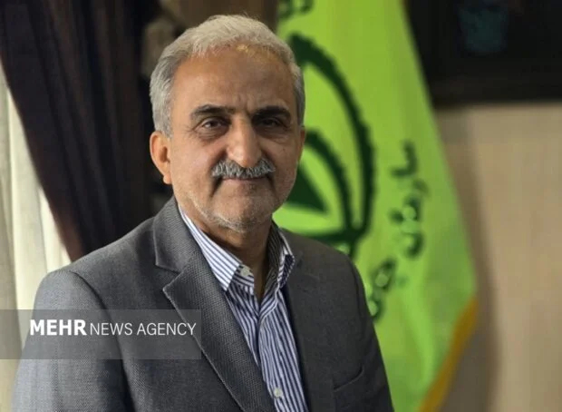 رشد چشمگیر صادرات چای ایران؛ بازار داخلی و خارجی تقویت شد