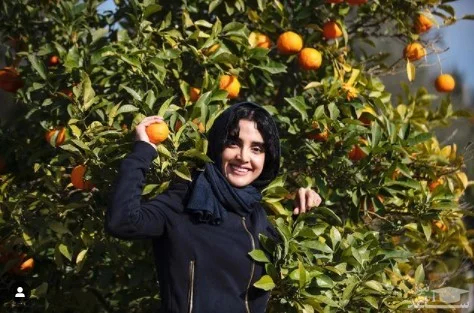 الهه حصاری