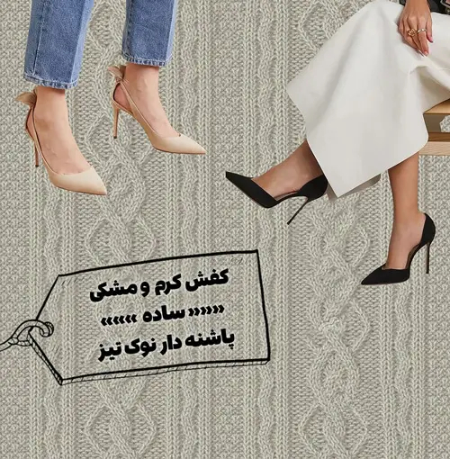 کفش‌های همیشگی