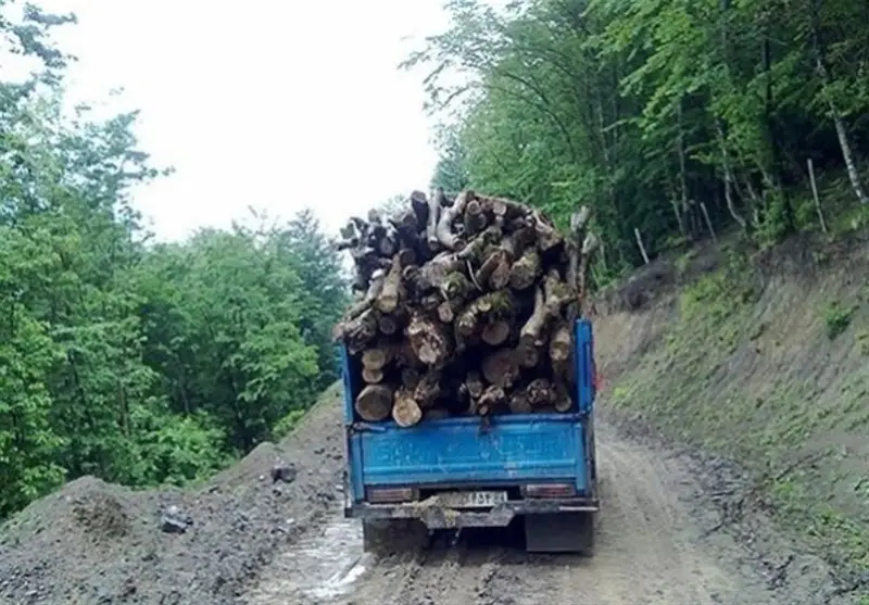 قاچاق , اخبار استان گلستان , اخبار شمال , جنگل های هیرکانی , جنگل , نظام مسائل استان گلستان , 