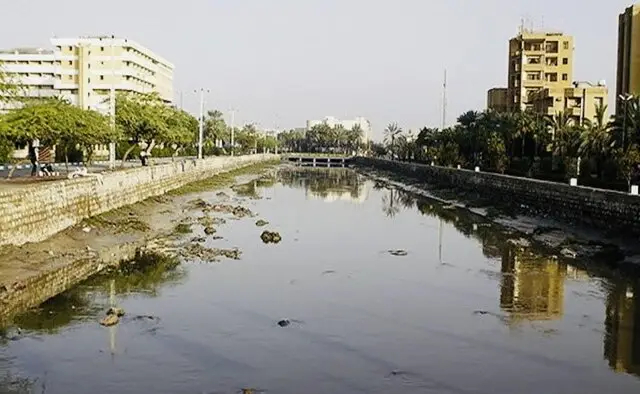 پس از بارندگی‌ها؛ ضرورت کنترل زیست پشه ناقل تب دنگی