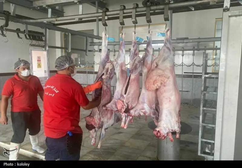 اخبار استان بوشهر , قیمت گوشت , اخبار بوشهر , 