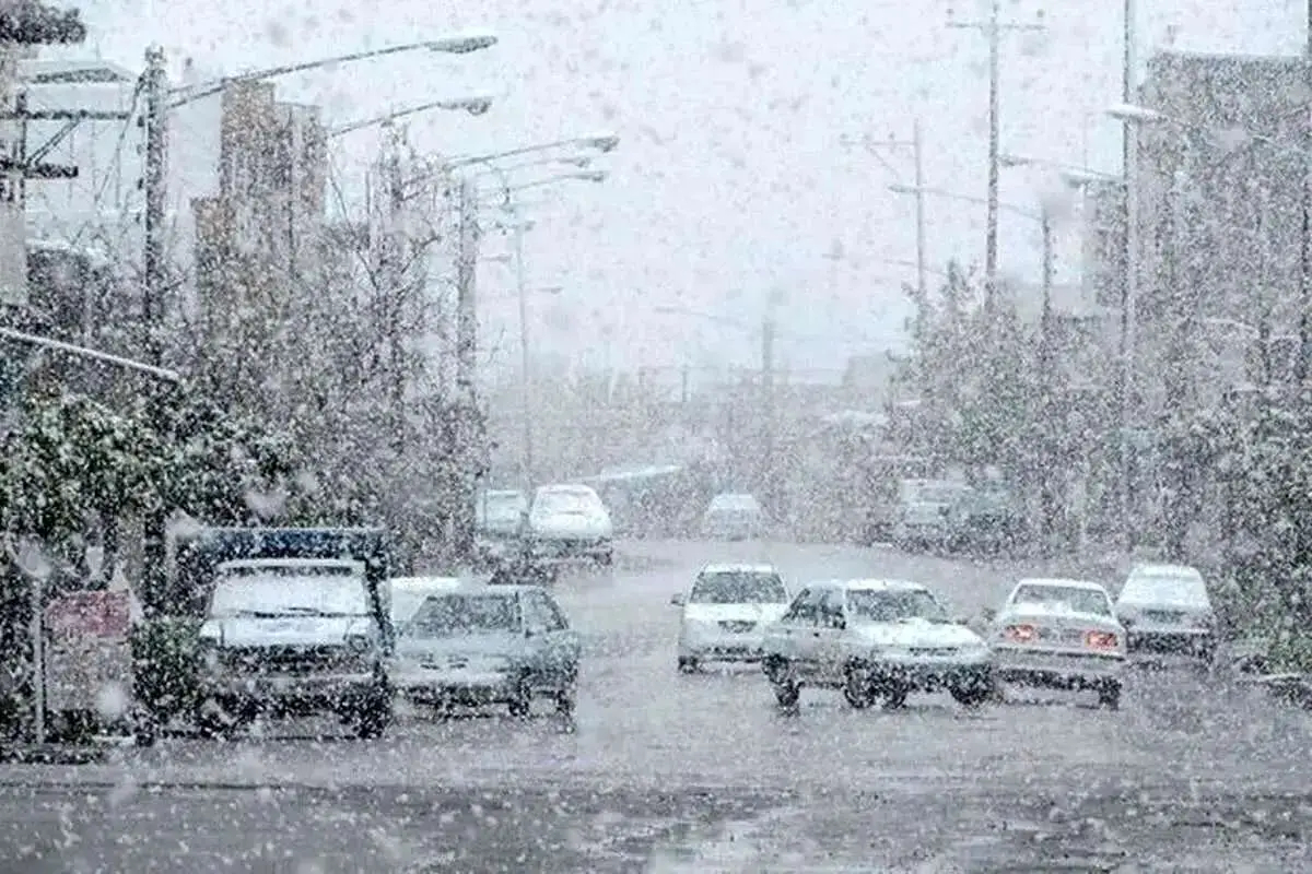 2098786_566