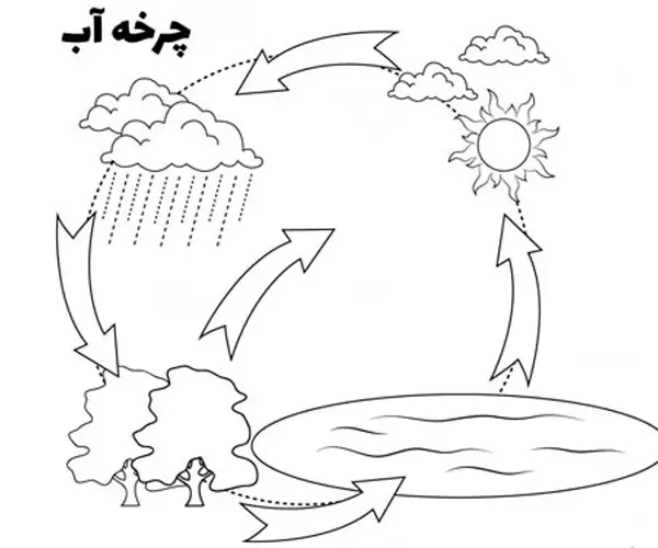 کاربرگ چرخه آب در طبیعت 