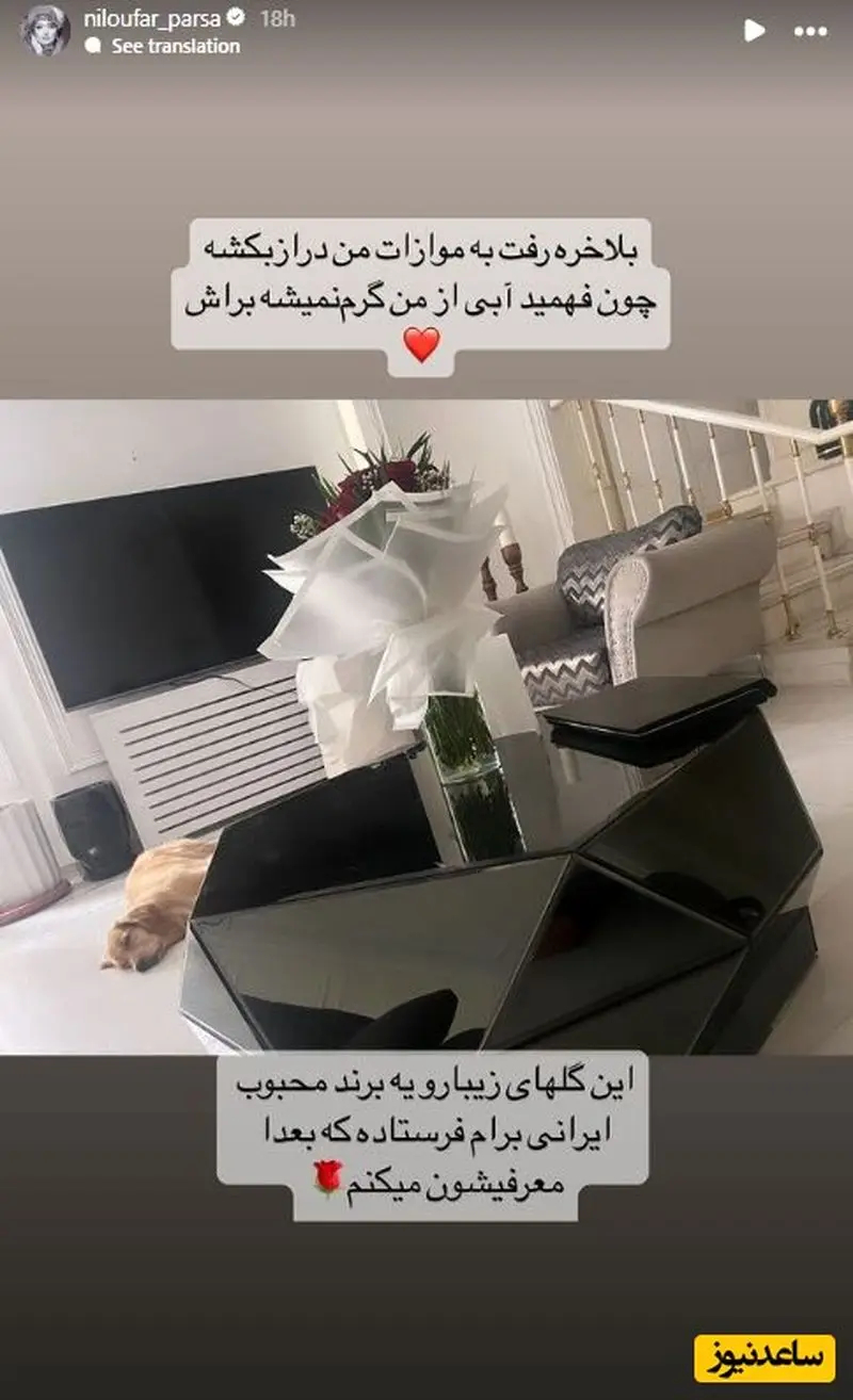 استوری نیلوفر پارسا