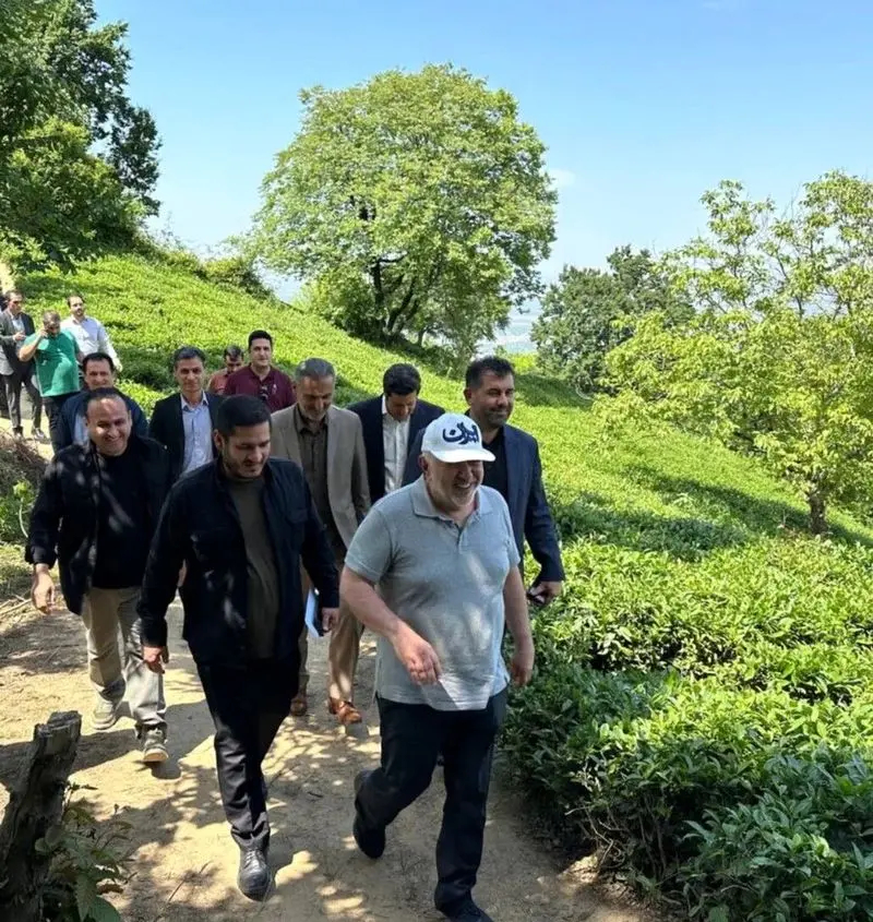 ظریف